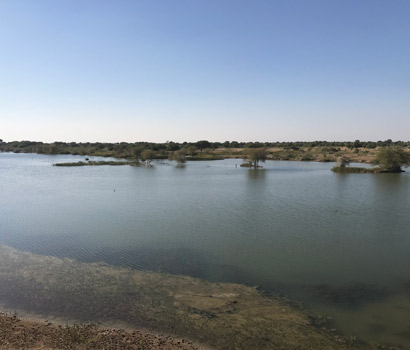 Jagaji Dada pond at Balasar village