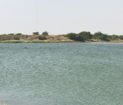 Thoriyari village pond filled with rain water