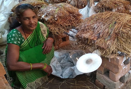 Amarbai Mushroom Cultivation