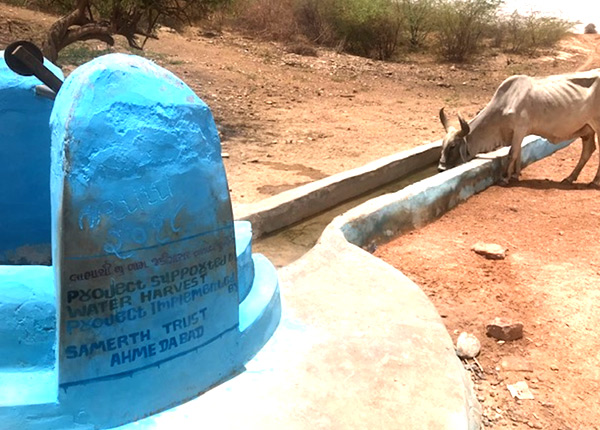 revival of three dug wells near Dungranivandh