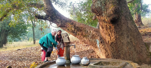 Eight years of empowering tribal communities through water initiatives in Chhattisgarh